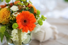 Cameron-and-Bailey-Wedding4